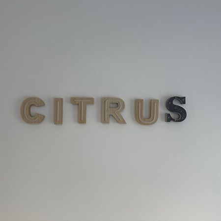 Citrus Suite By Alhaurin Loft City Center Альхаурин-де-ла-Торре Экстерьер фото